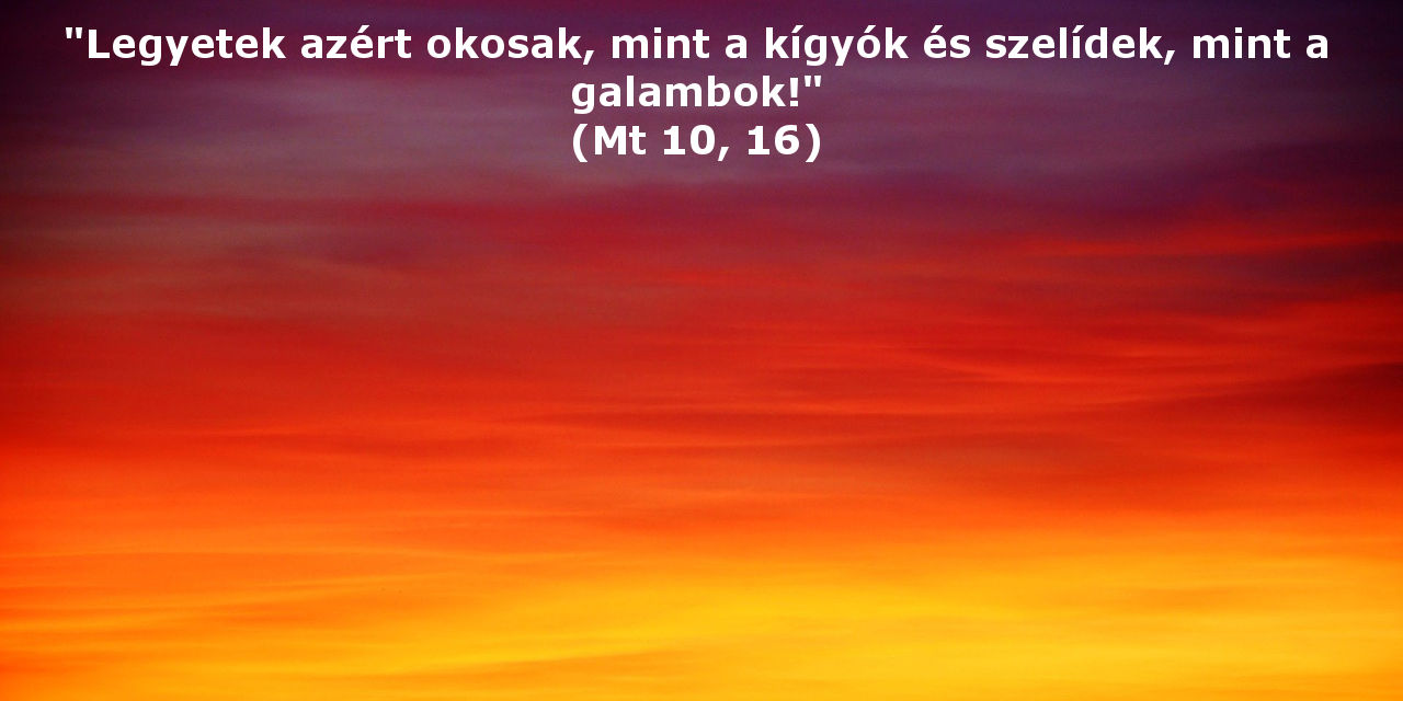 Napi áhitat (október 25.) – Bölcsesség hamisság nélkül